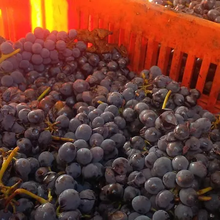Pastura - La Ghersa Herberg Agliano Terme