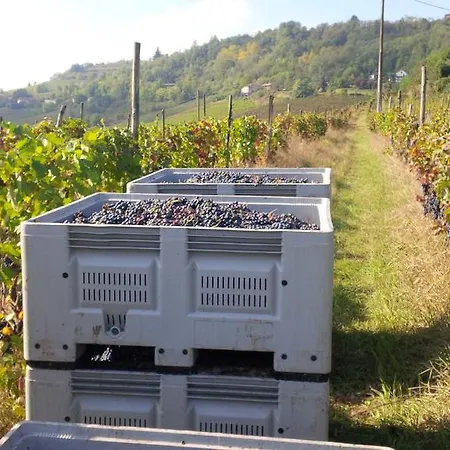 Pastura - La Ghersa Herberg Agliano Terme