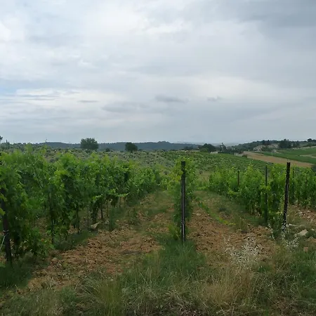 Pastura - La Ghersa Agliano Terme