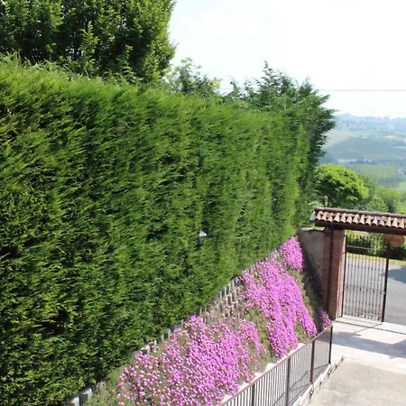 Pastura - La Ghersa Agliano Terme